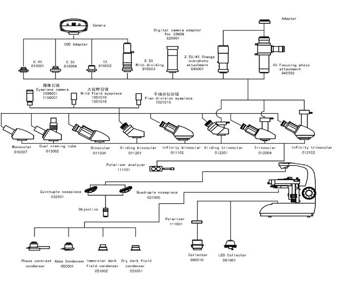 L1650 System Diagram