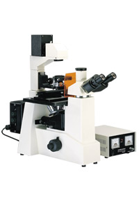 Inverted Microscope XDY-1