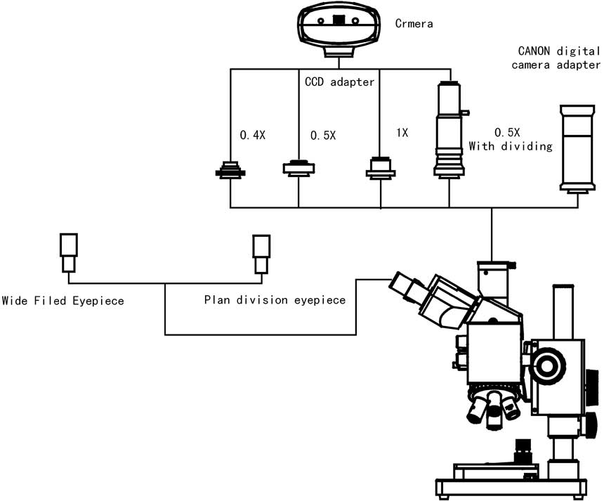 ICM-100 System Diagram