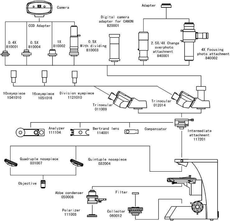 Video Microscope XPL-1 System Diagram