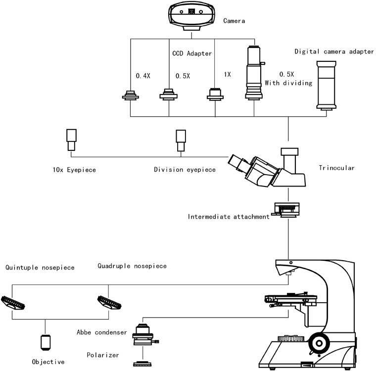 Video Microscope XPL-3200 System Diagram