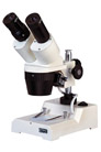 XTD-2