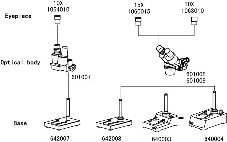 Stereo Microscope XTD