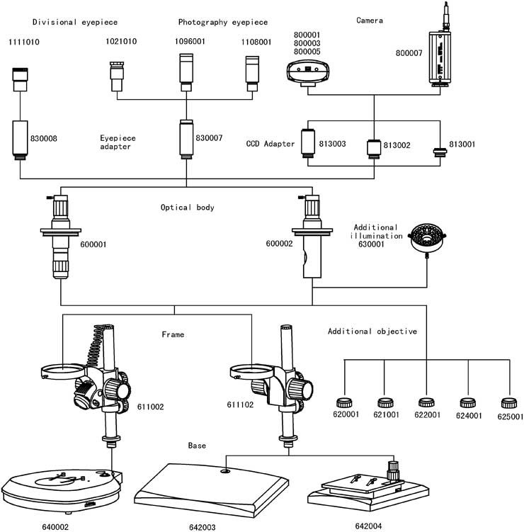 Stereo Microscope XTM