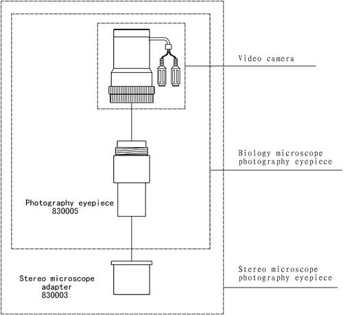 Video Microscope MC-180 System Diagram